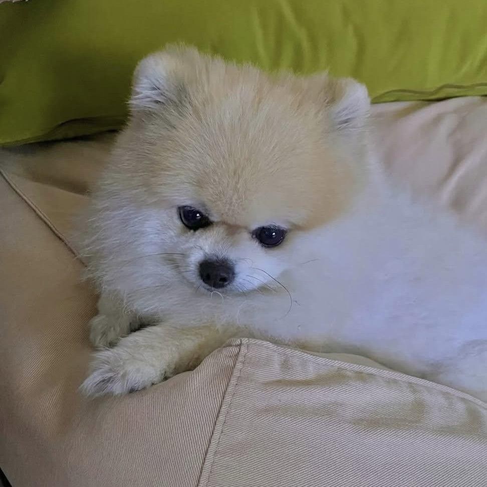 Gumayusi的近期活動照