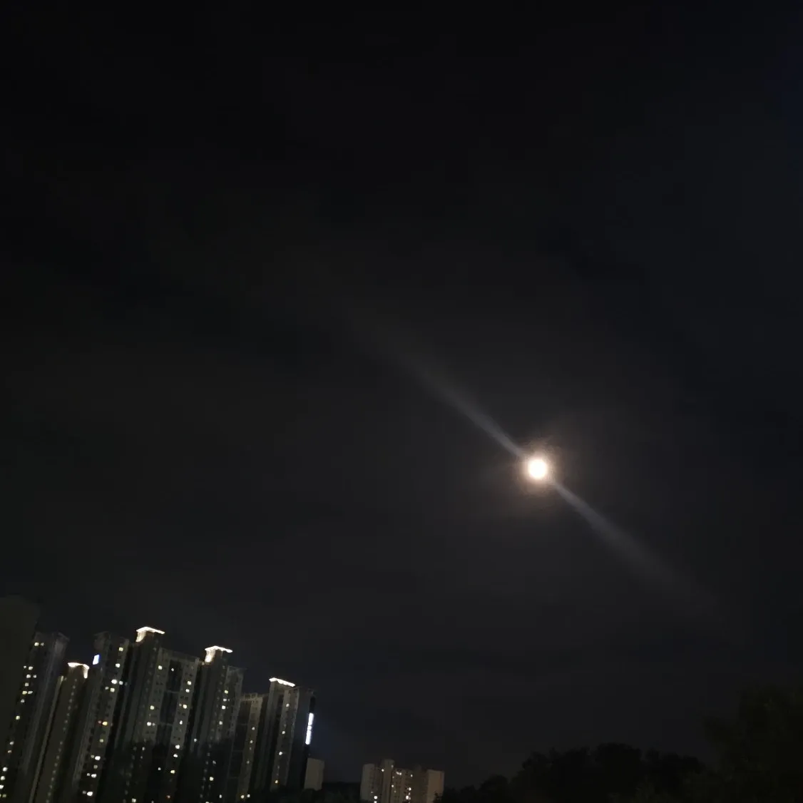 赵明燮的最新照片