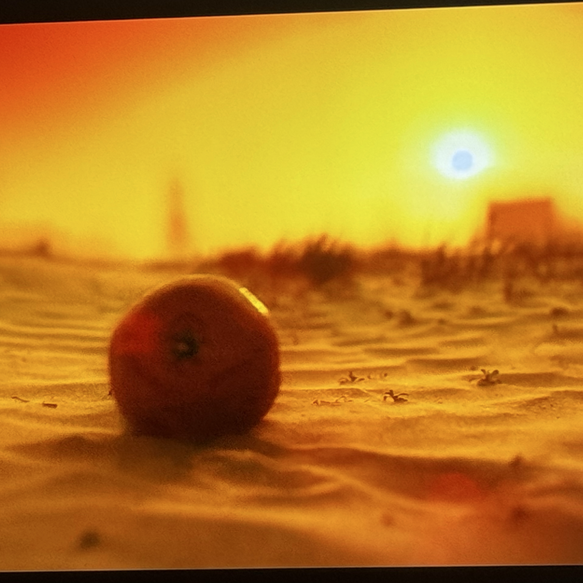 イ・ミンホの最近の活動ショット