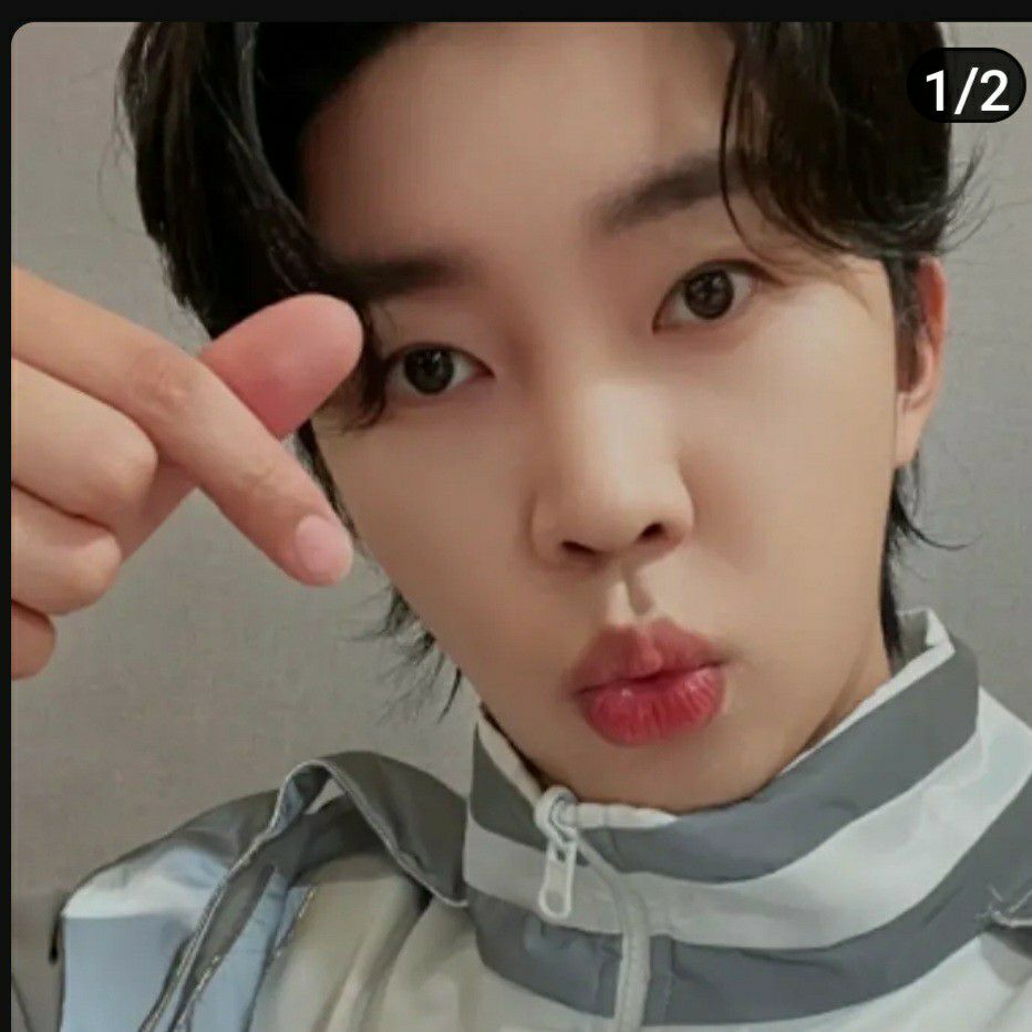 임영웅 팬이 찍은 순간