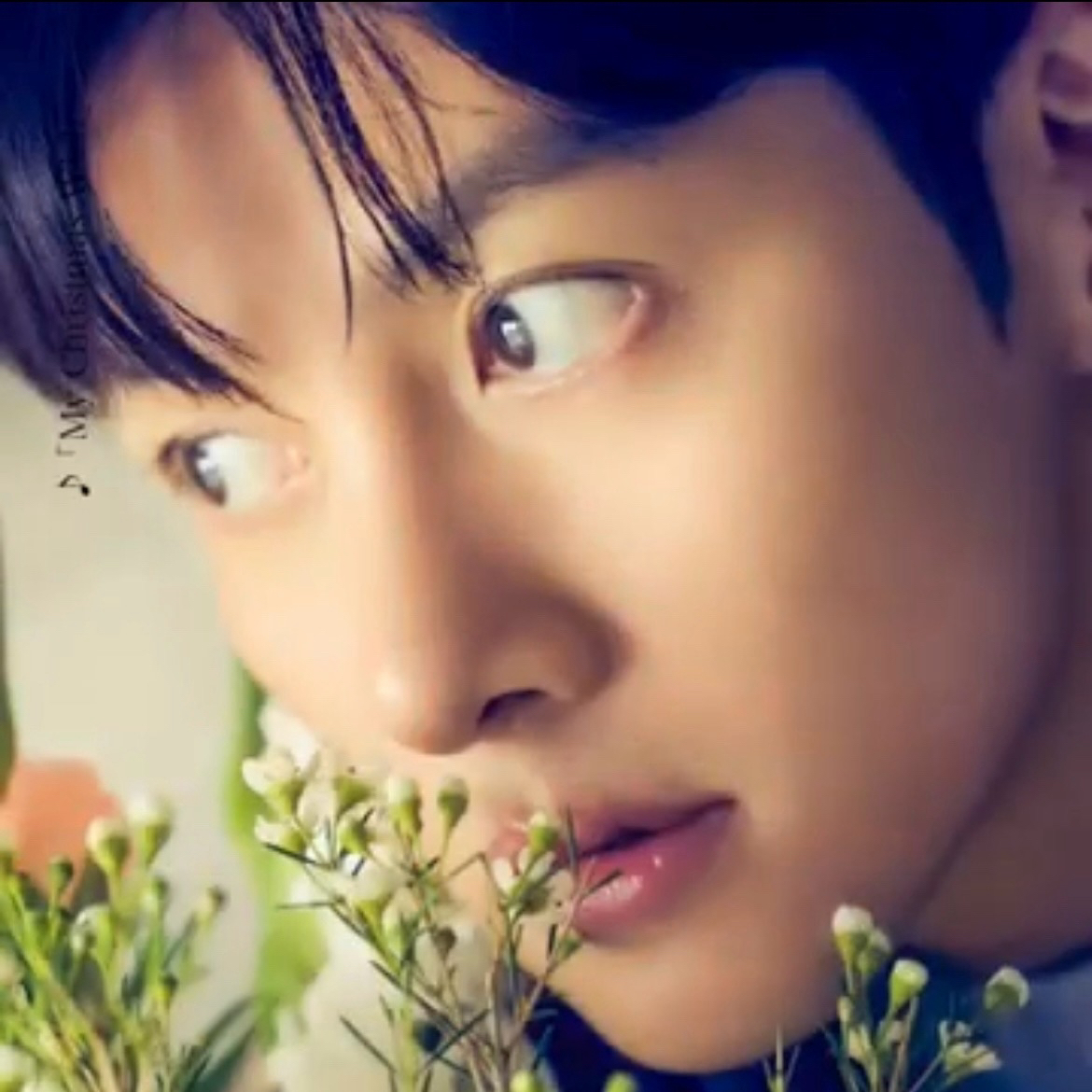 Recent activity shot of Ji Changwook