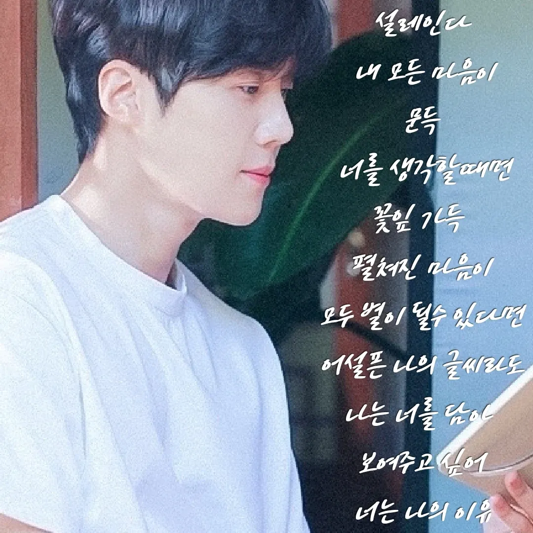 김선호 팬이 찍은 순간