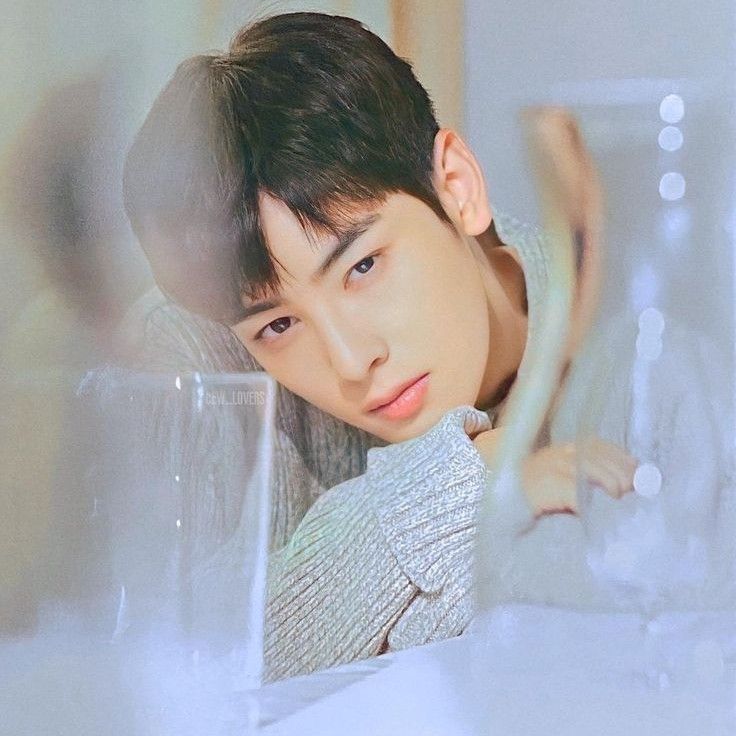 Behind-the-scenes cut of Cha Eunwoo