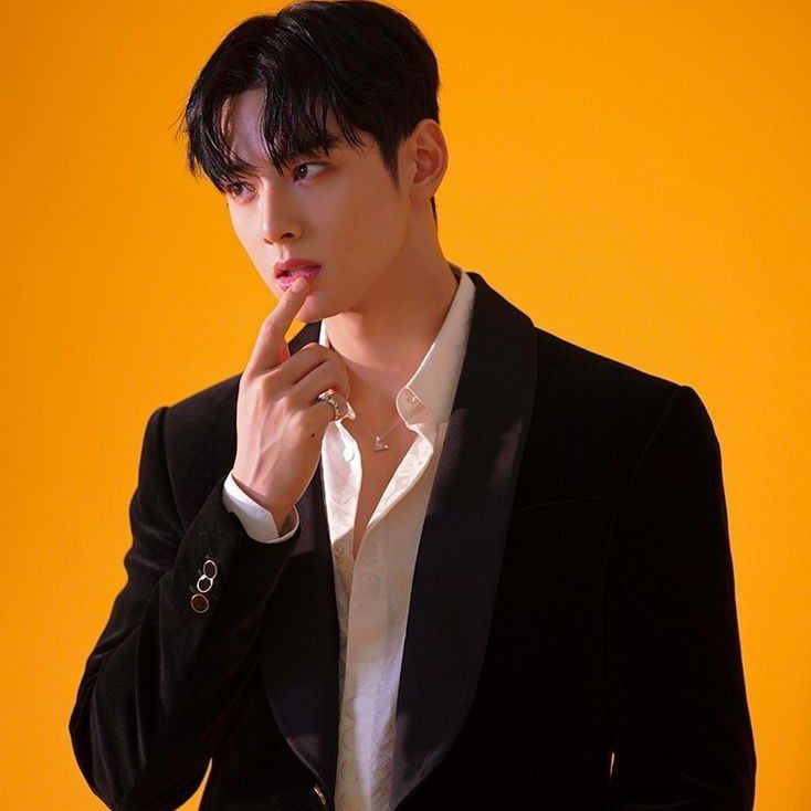 A moment captured by a fan of Cha Eunwoo