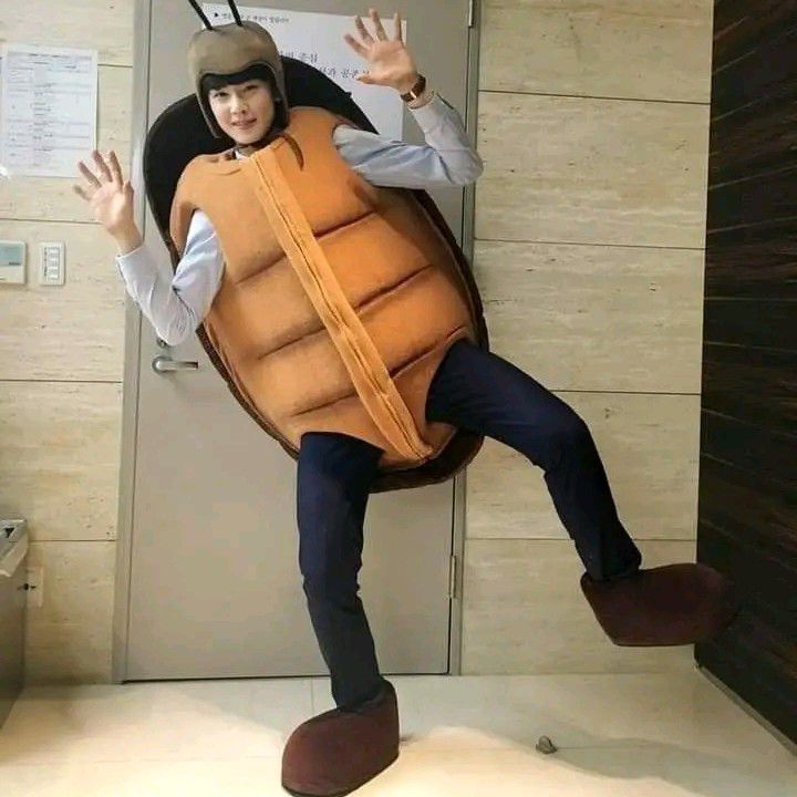 Recent activity shot of Cha Eunwoo