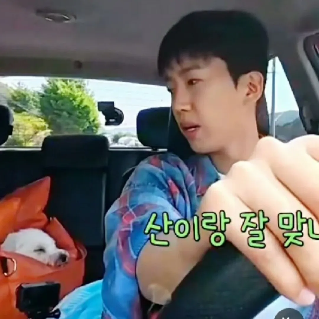 Momen yang diabadikan oleh penggemar Lim Youngwoong