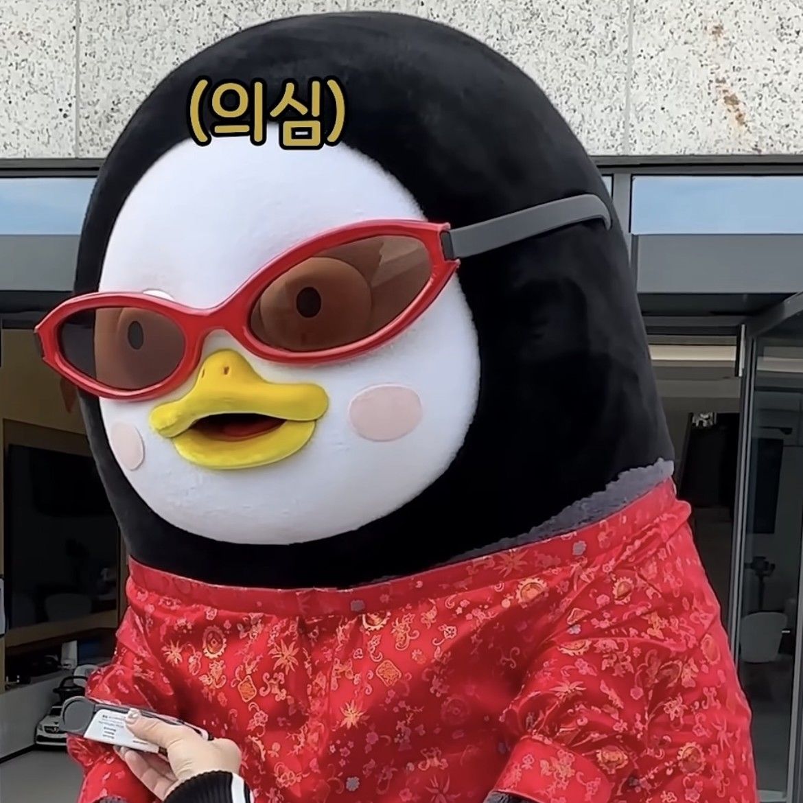 朋秀的最新照片