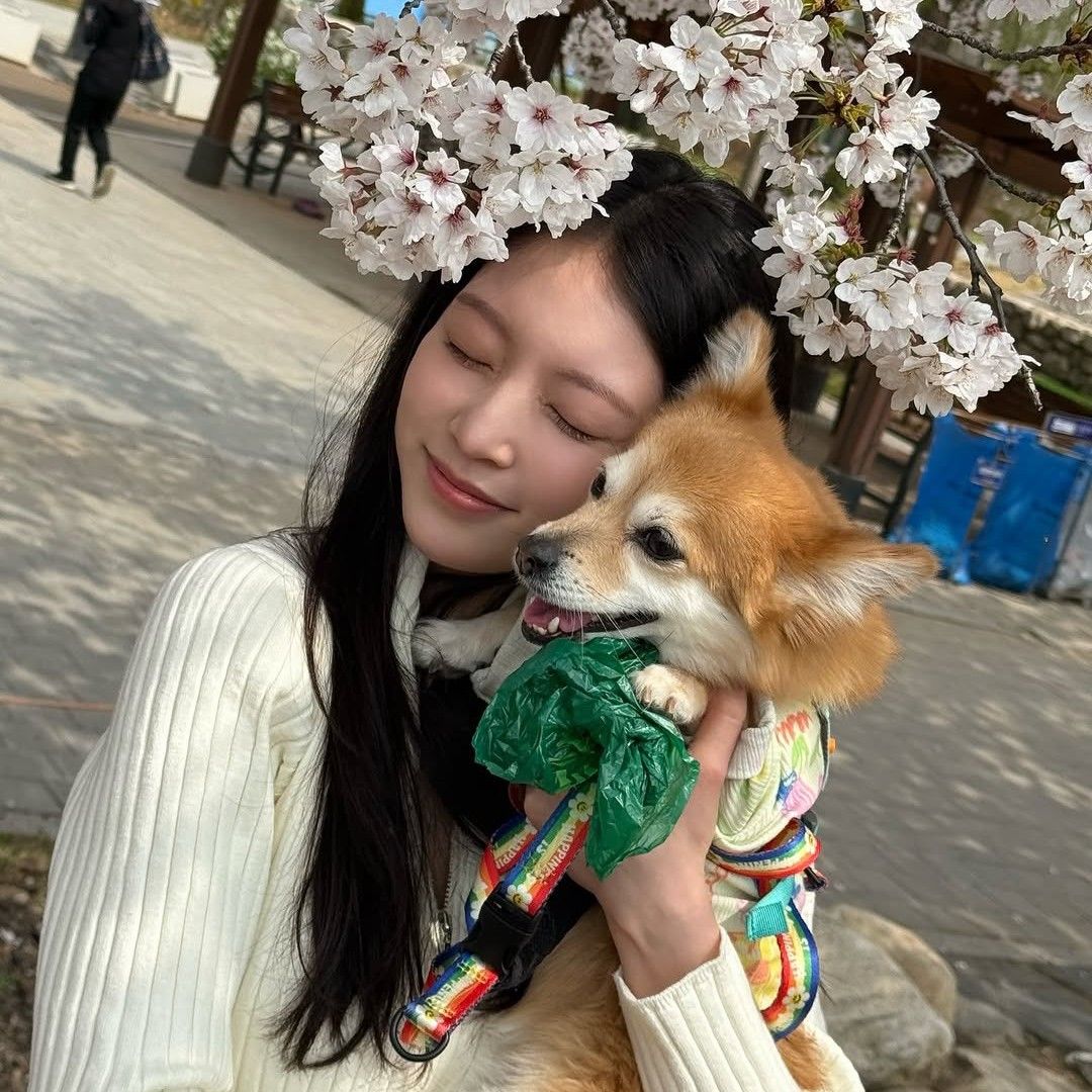 Recent activity shot of Gong Seungyeon