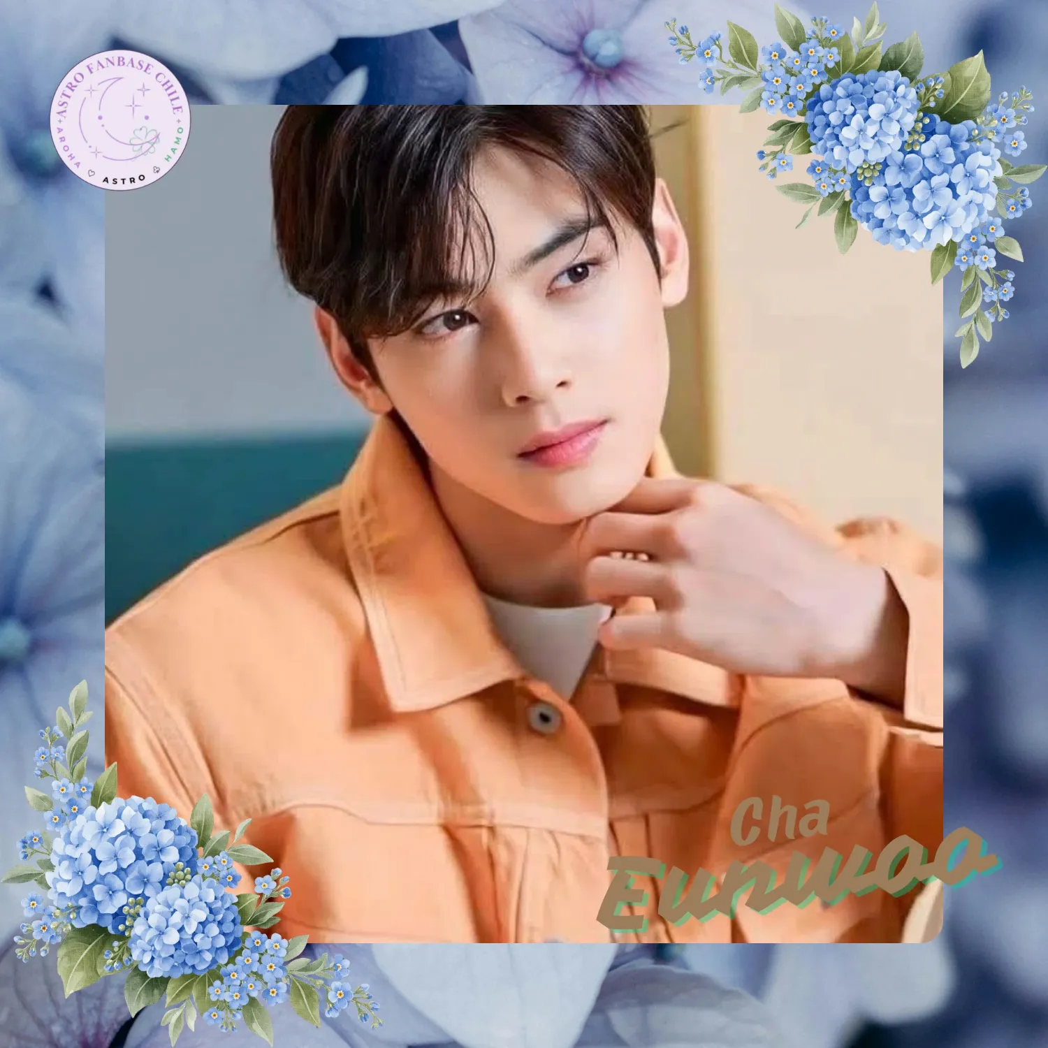 Recent activity shot of Cha Eunwoo