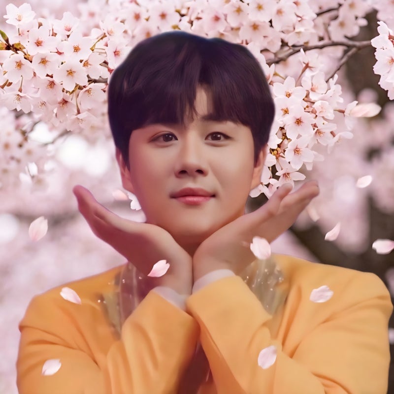 A moment captured by a fan of Jin Haesung