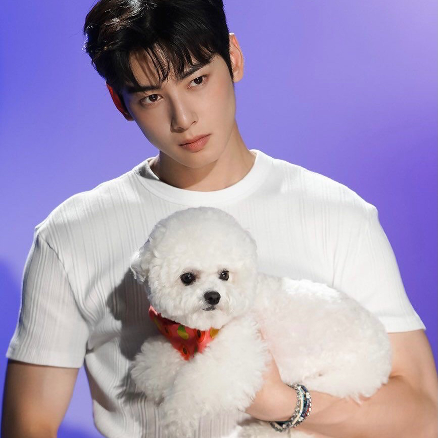 Latest photo of Cha Eunwoo