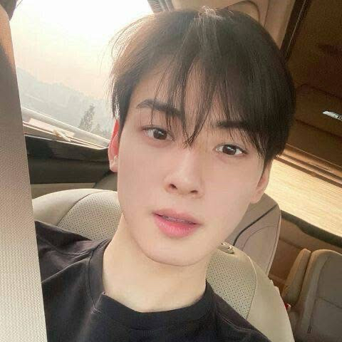 Behind-the-scenes cut of Cha Eunwoo