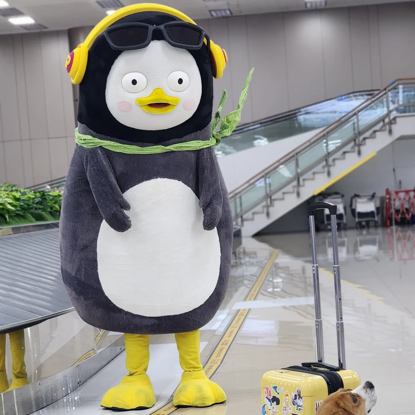 펭수 팬이 찍은 순간