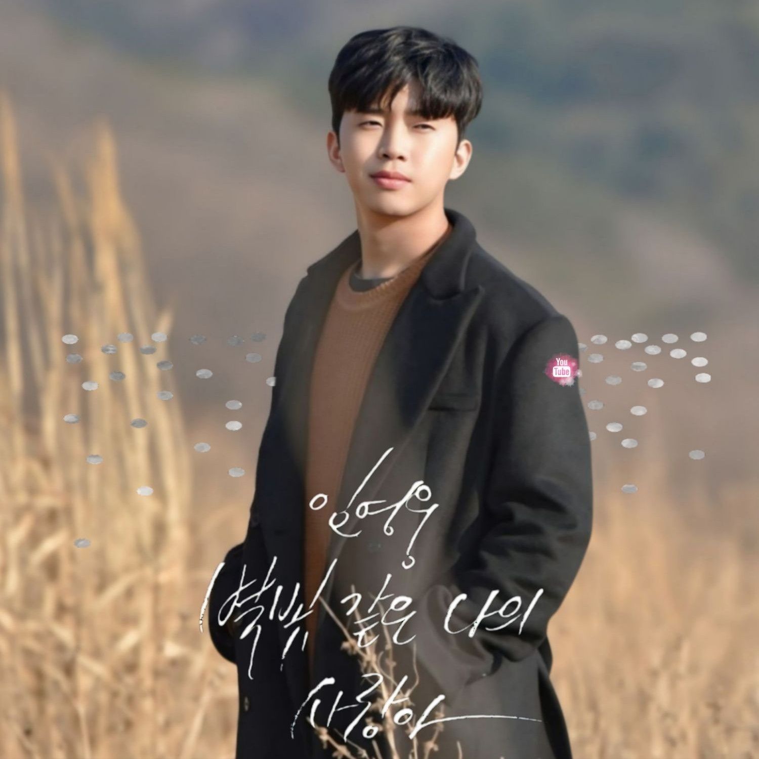 Momen yang diabadikan oleh penggemar Lim Youngwoong