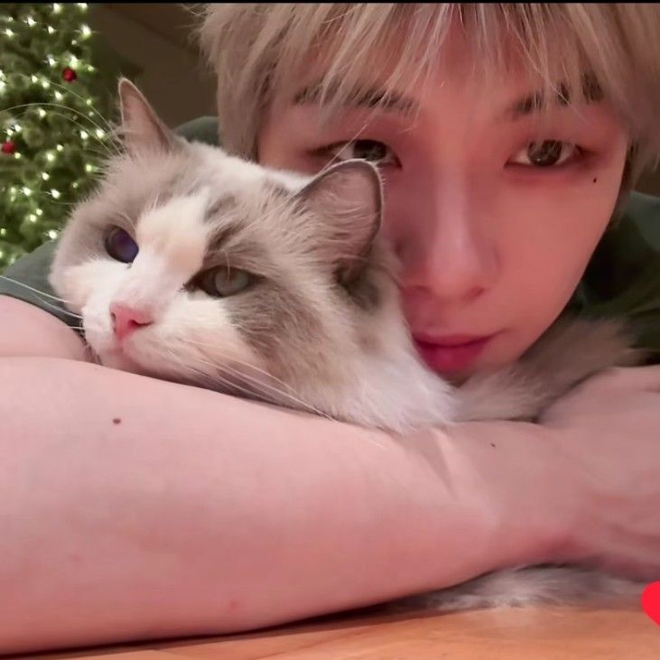 粉丝拍下的秘密空间瞬间