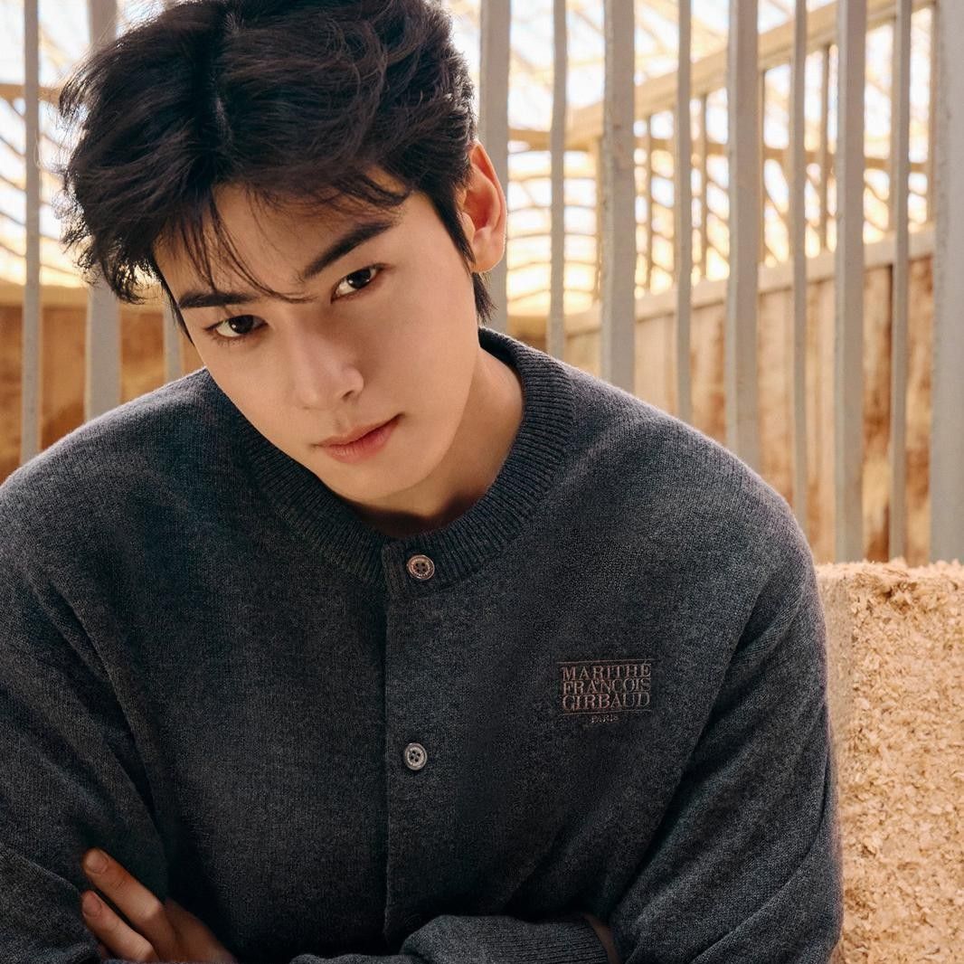 ファンが撮影したチャ・ウヌの瞬間