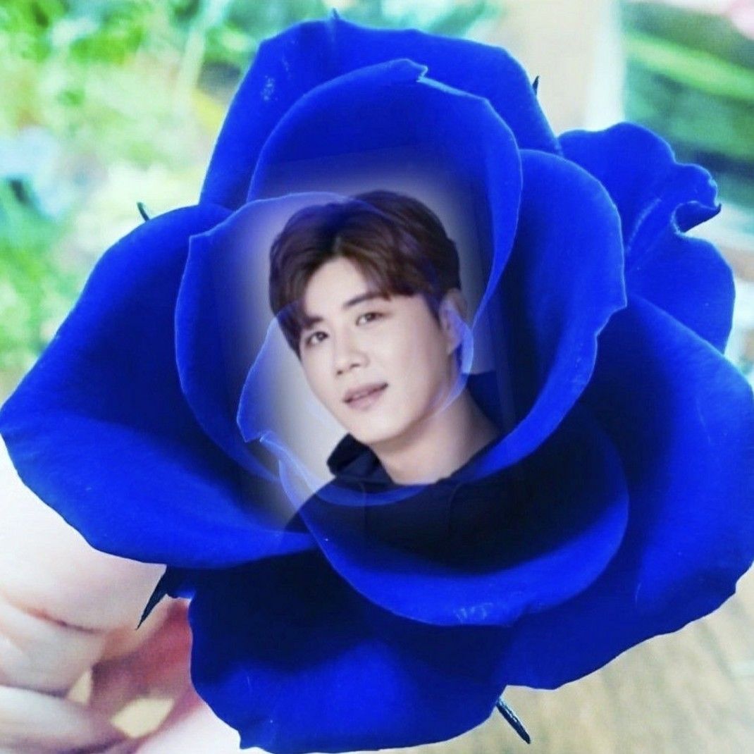 Recent activity shot of Jin Haesung