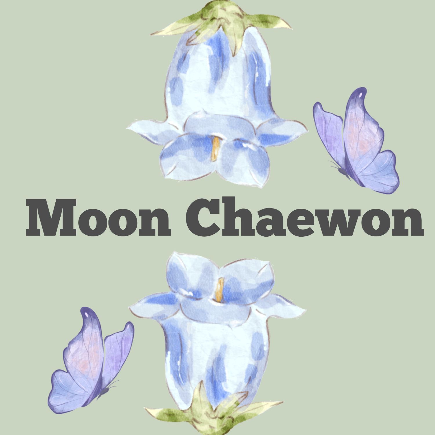 Latest photo of Moon Chaewon