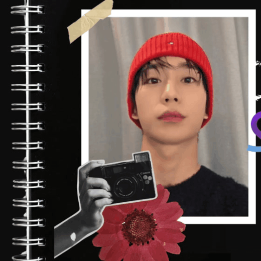 community_articles_contents