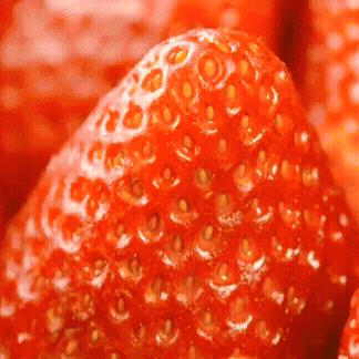 community_articles_contents