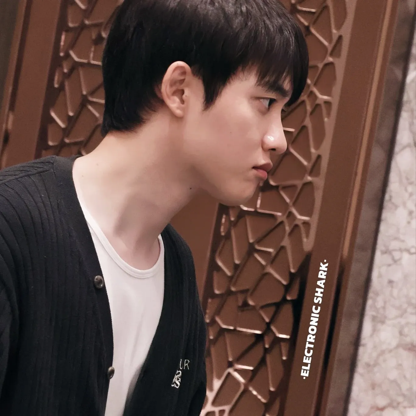도경수 (디오) 최근 활동샷