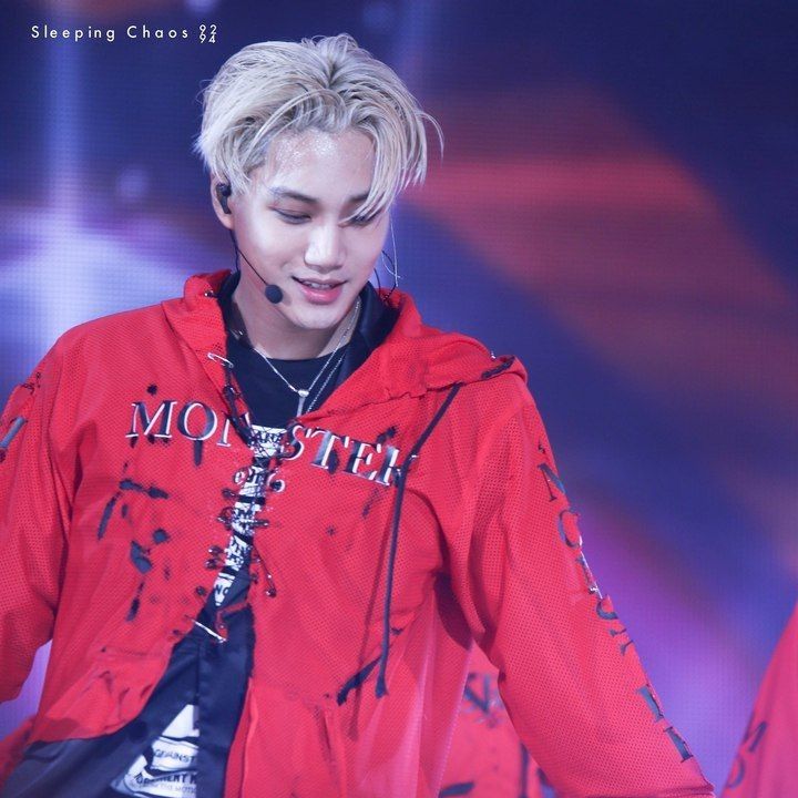 카이 팬이 찍은 순간