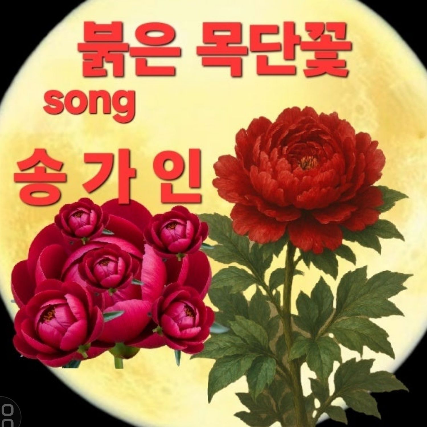 ファンが撮影したソン・ガインの瞬間