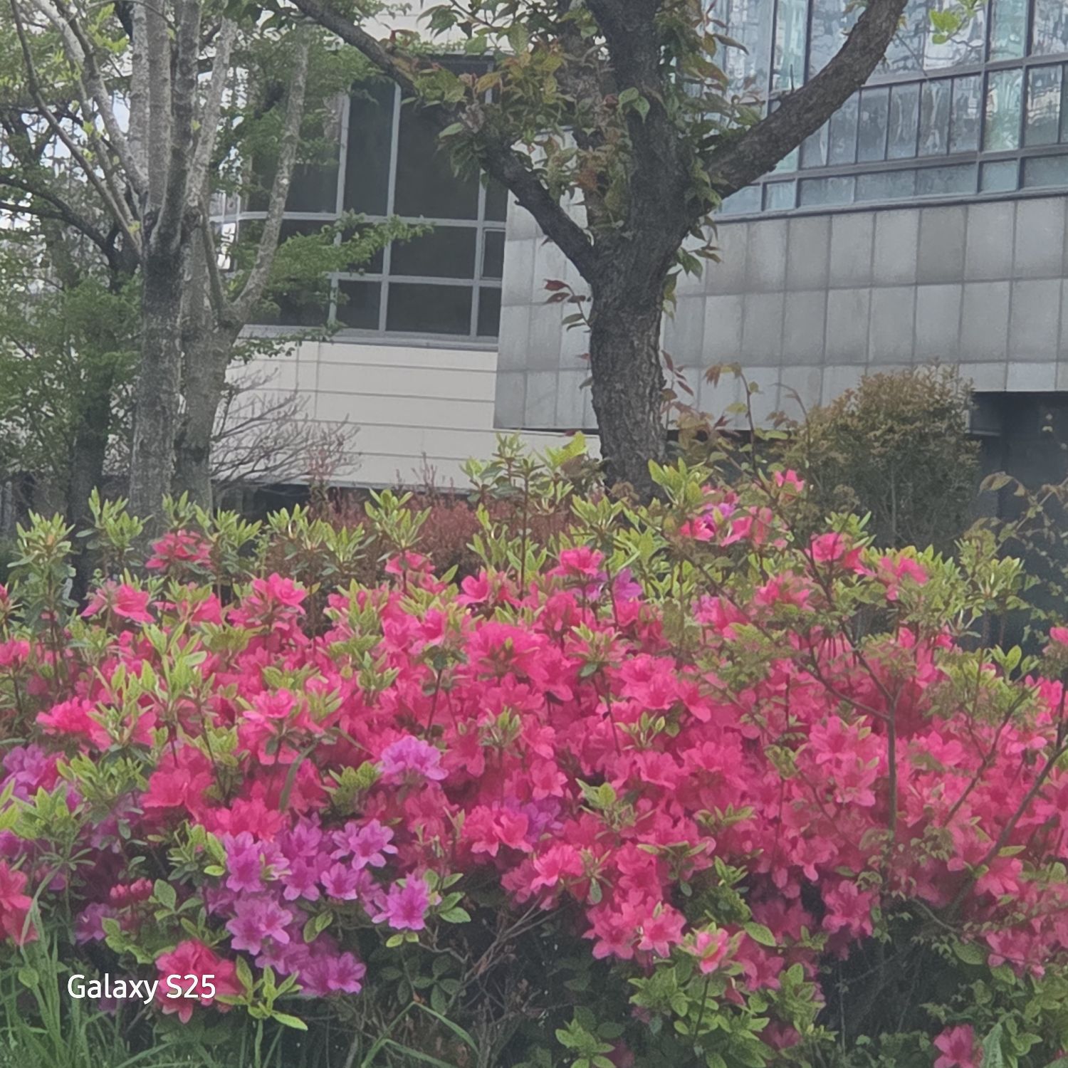 チャン・ミンホの最近の活動ショット