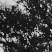 A moment captured by a fan of Jang Kiyong