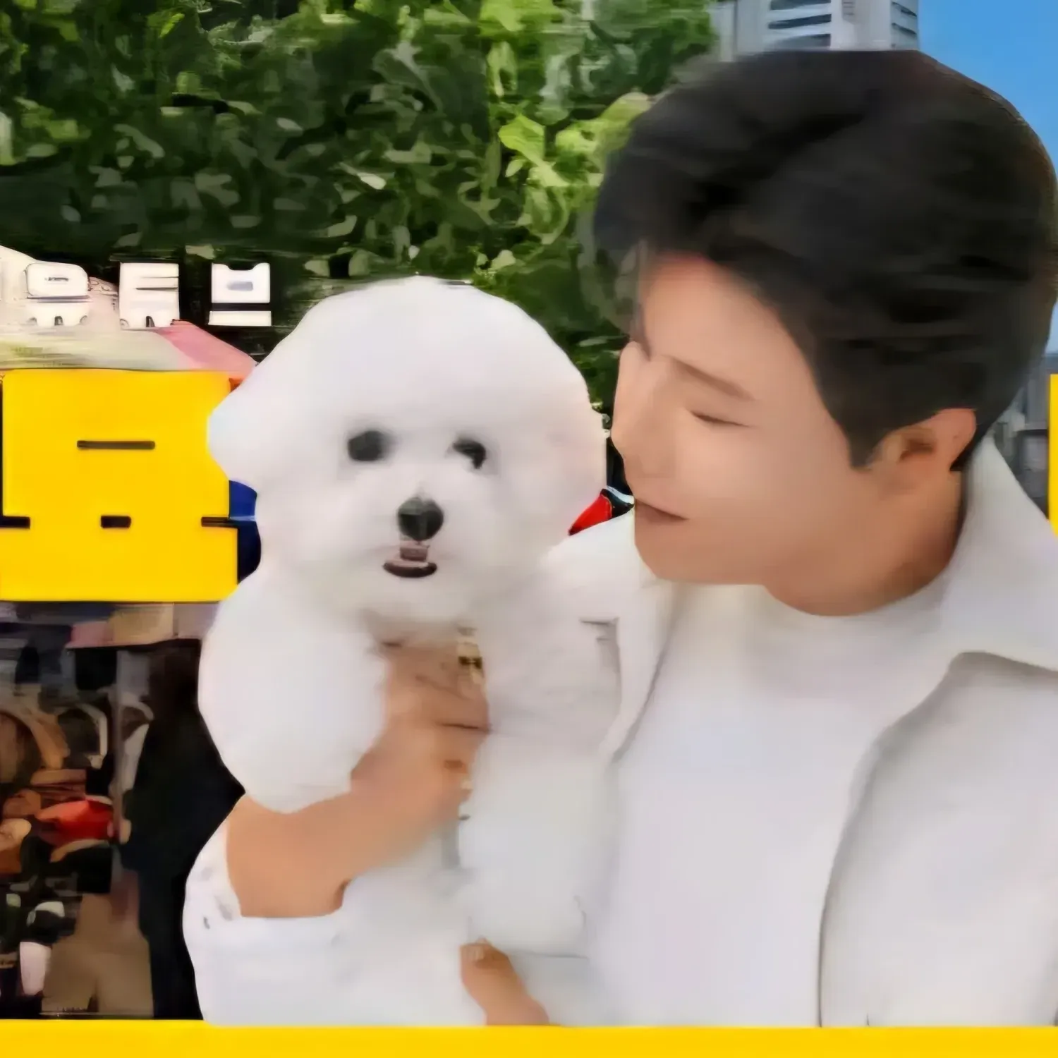 Latest photo of Jin Haesung