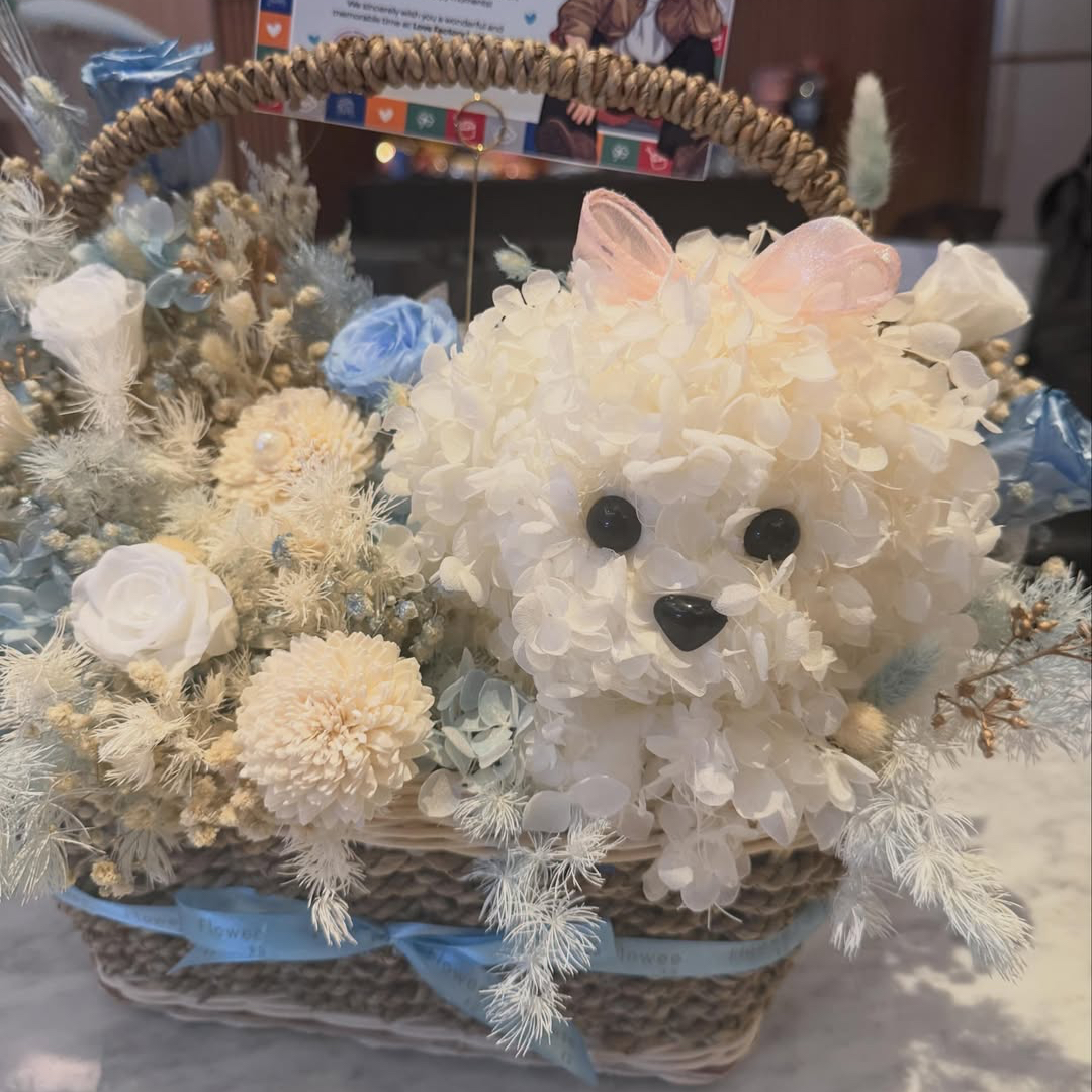 Recent activity shot of Kim Seonho