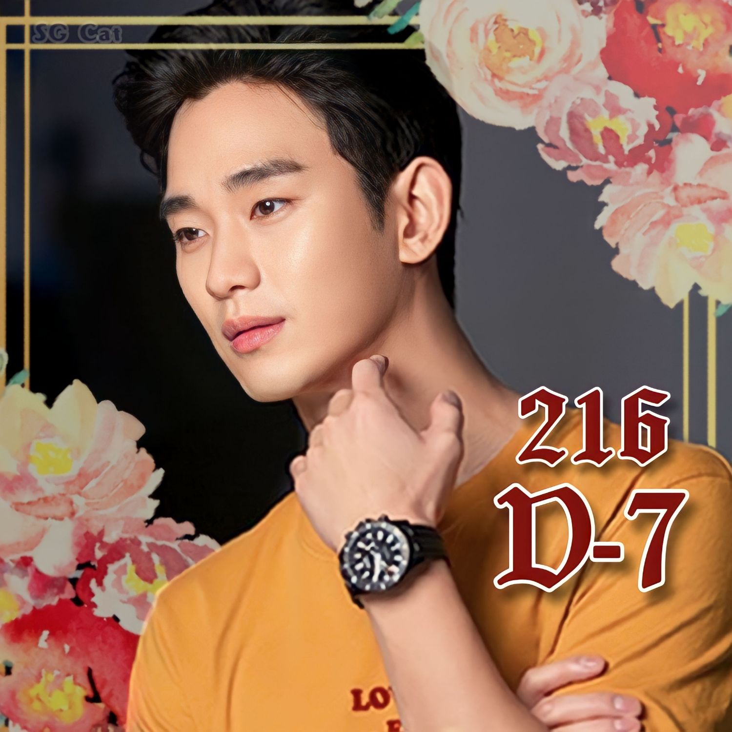 ファンが撮影したキム・スヒョンの瞬間