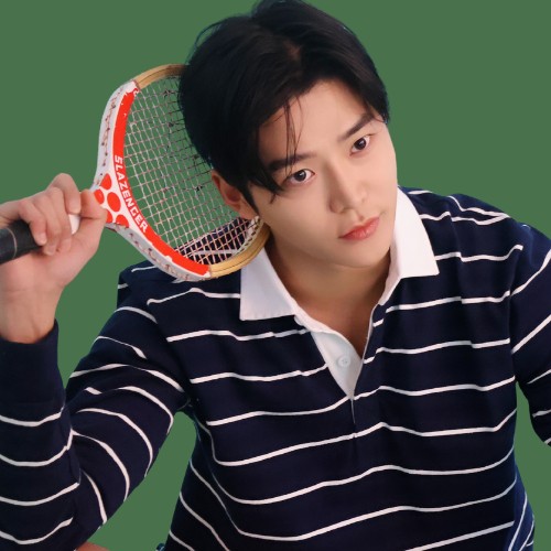 通过投票选出的路云人气头像图像