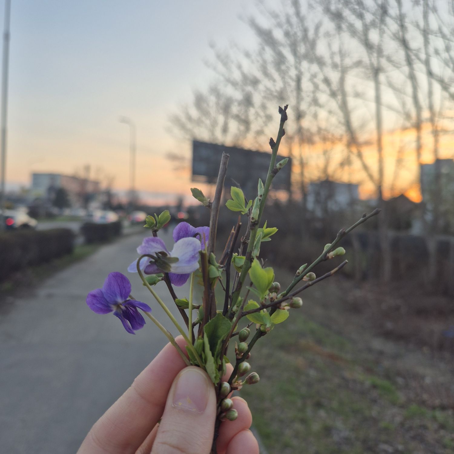 A moment captured by a fan of Cha Eunwoo