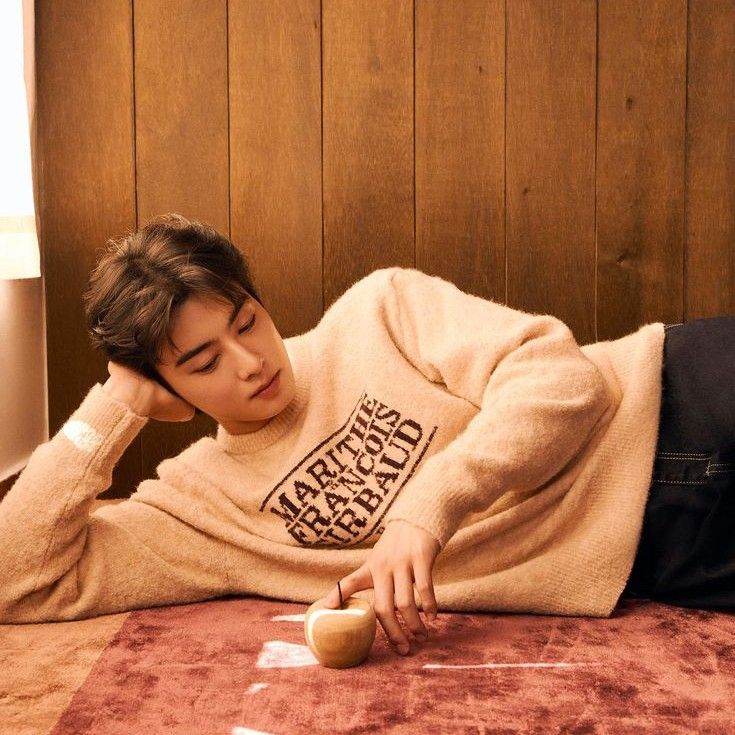 ファンが撮影したチャ・ウヌの瞬間