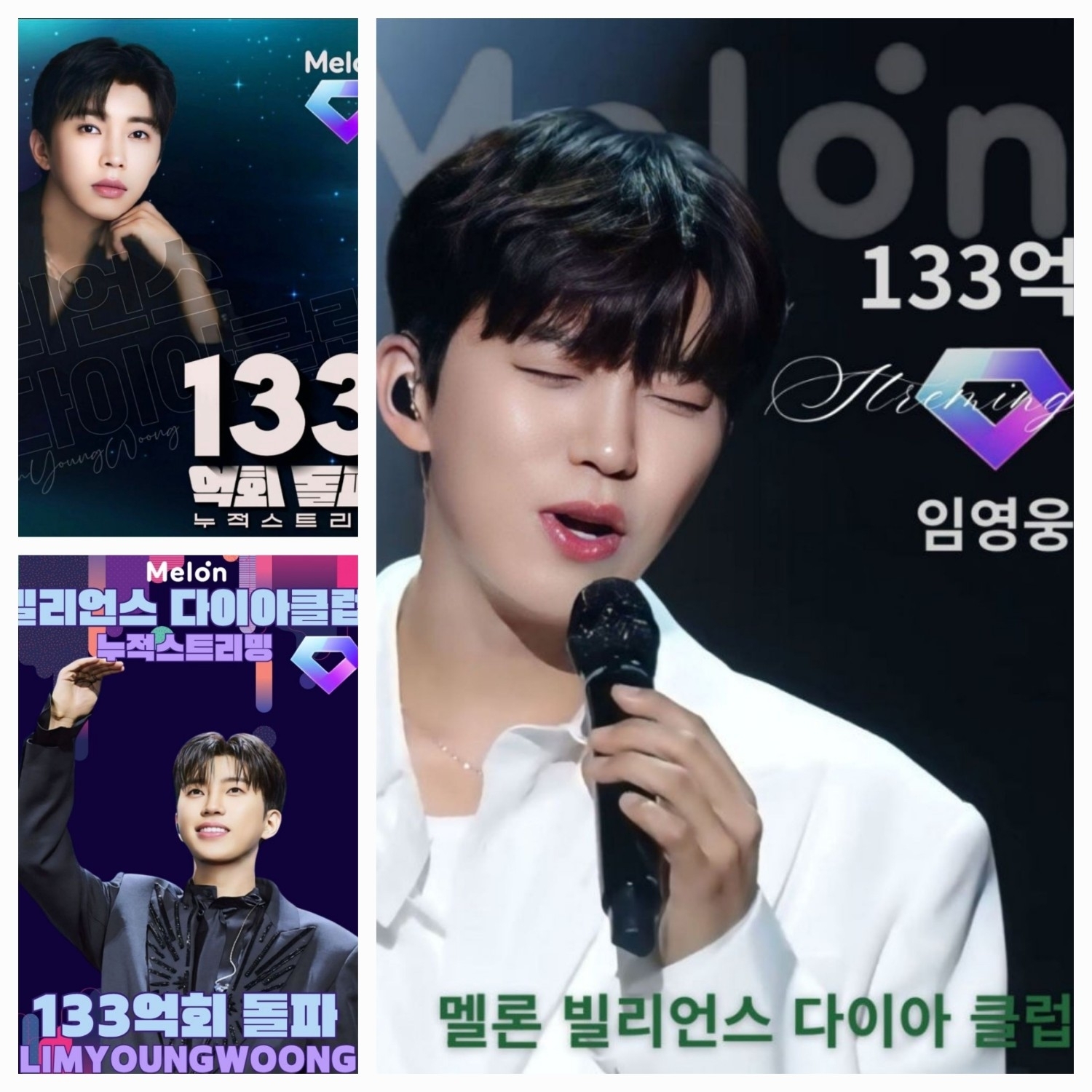 임영웅 팬이 찍은 순간