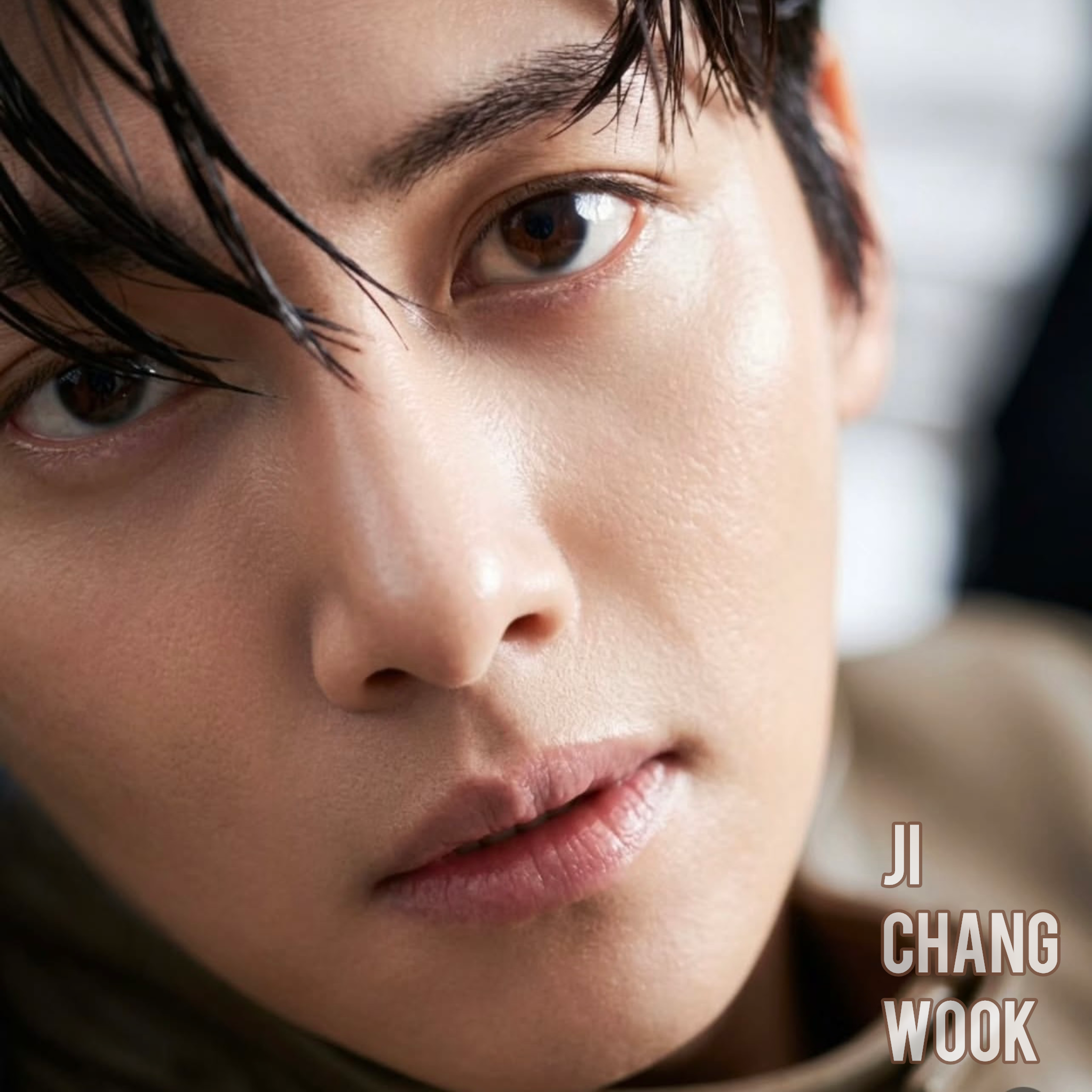 A moment captured by a fan of Ji Changwook