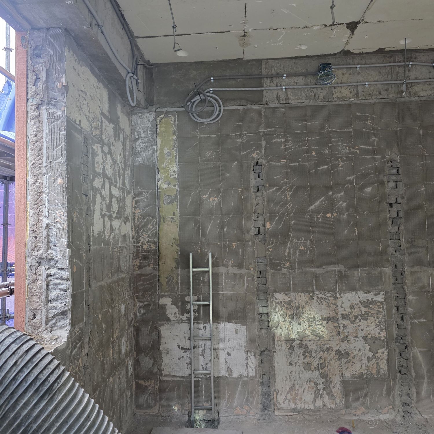 李燦元的最新照片