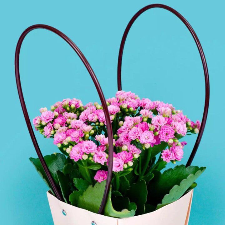 Behind-the-scenes cut of Kim Heeae