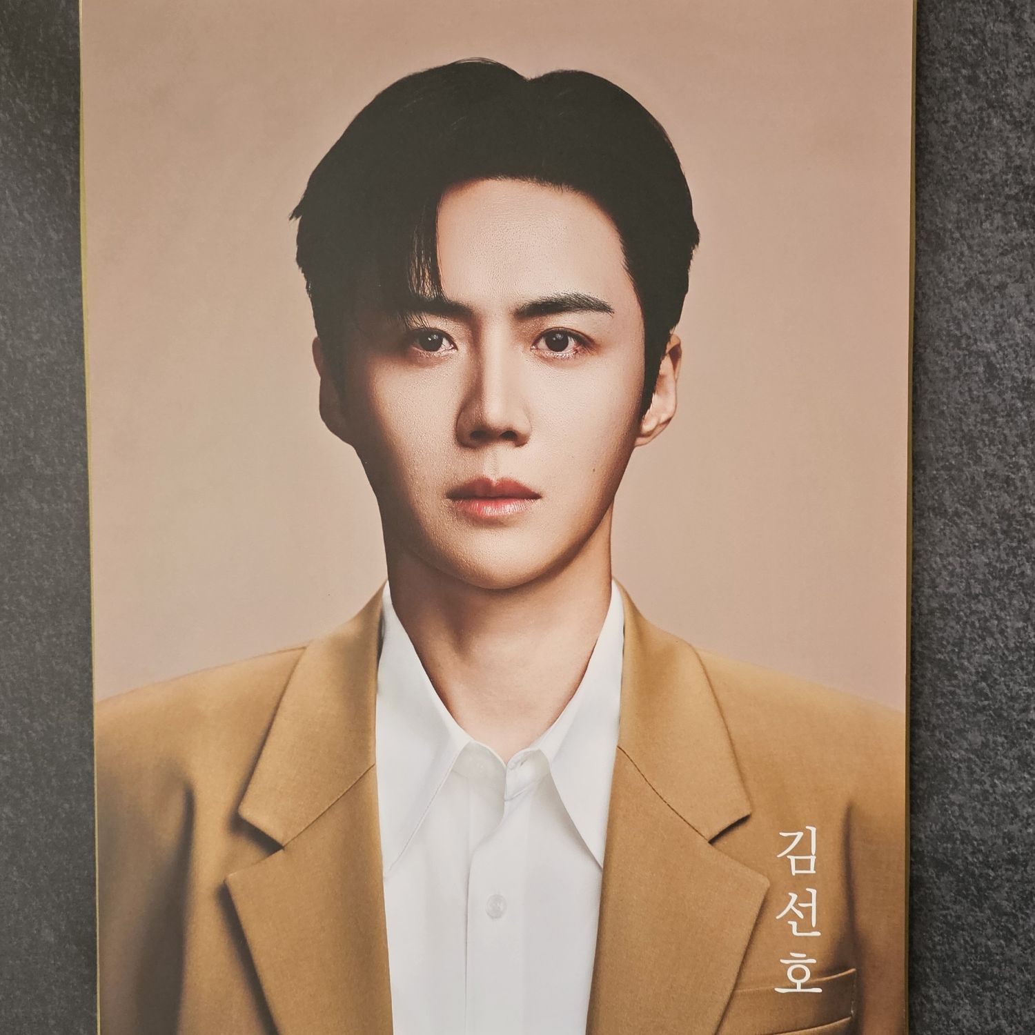 Recent activity shot of Kim Seonho