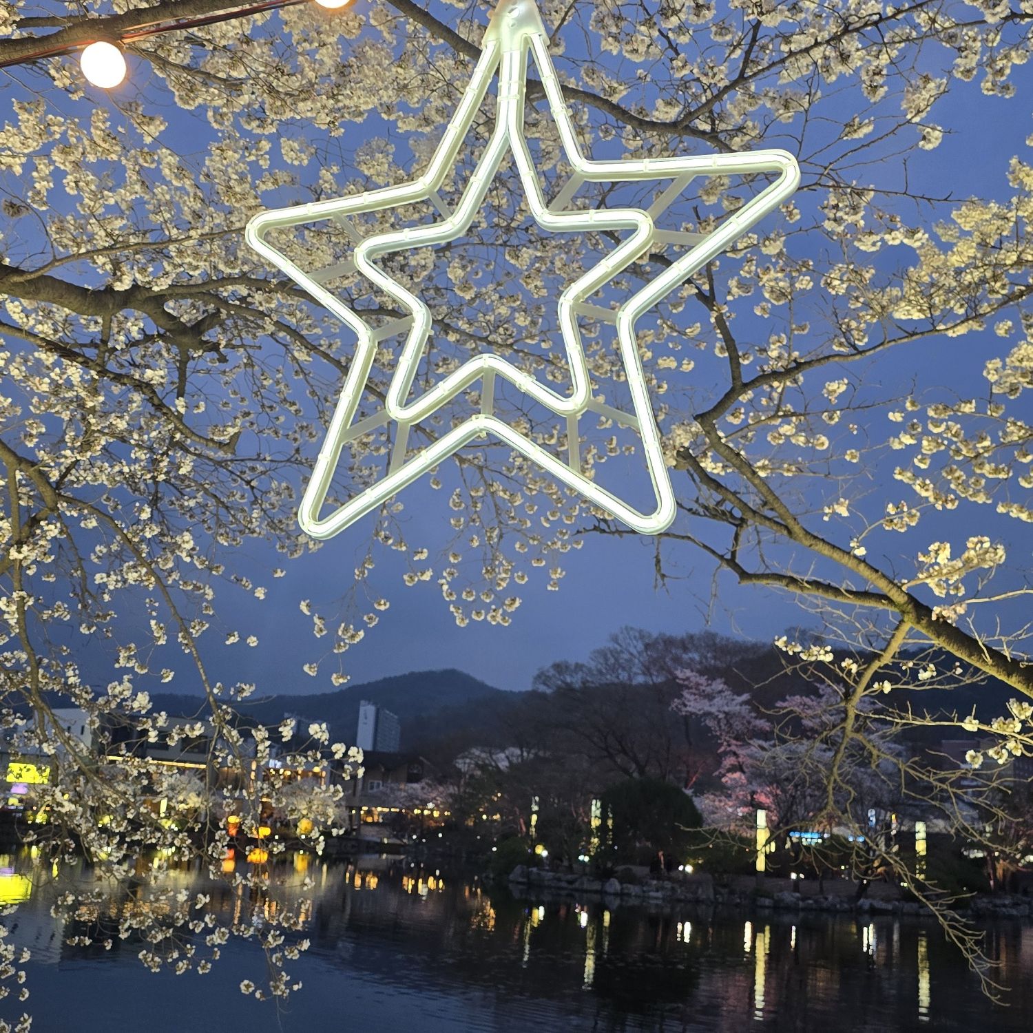 金浩中的近期活动照