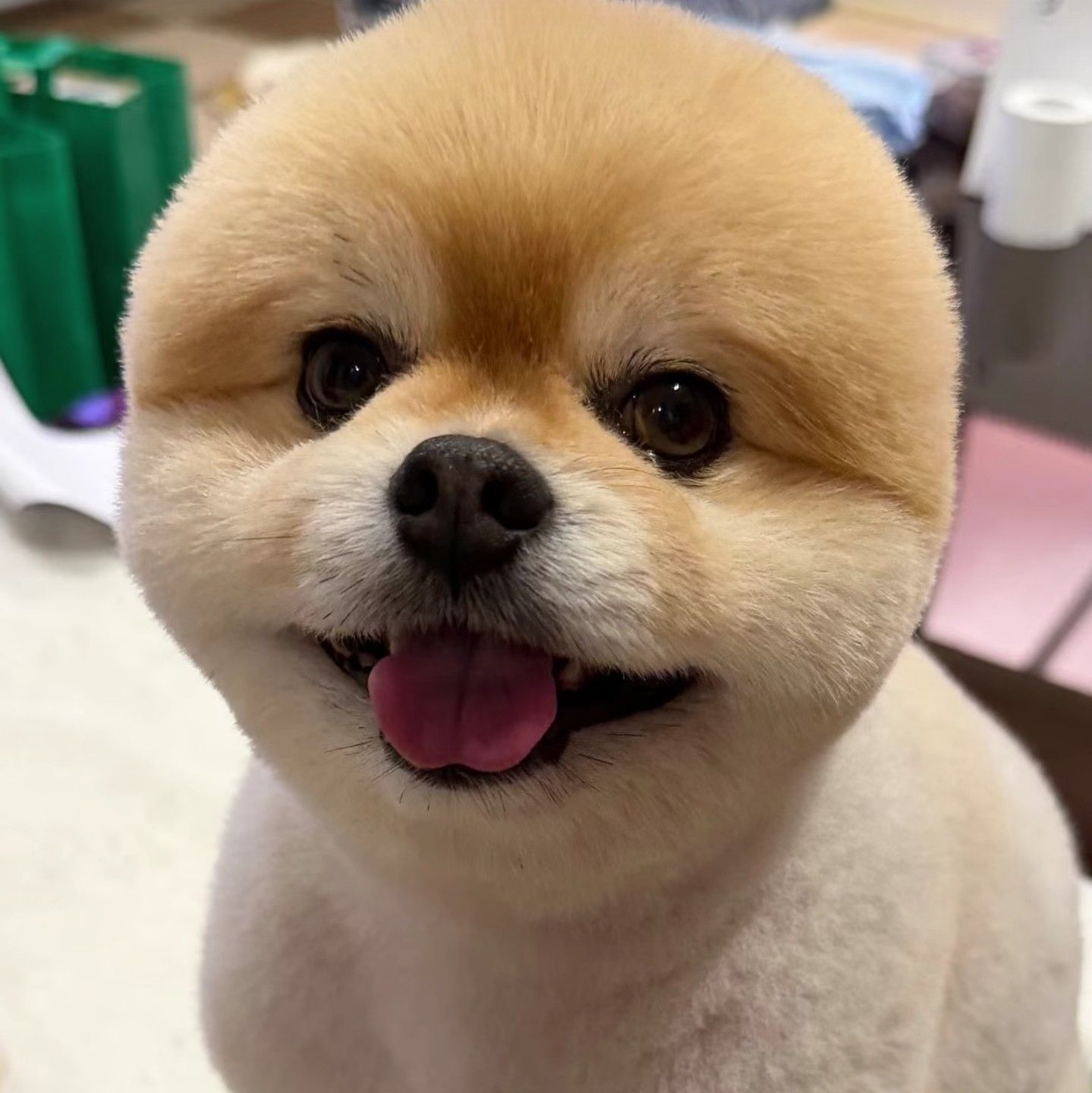 박서진의 최신 사진