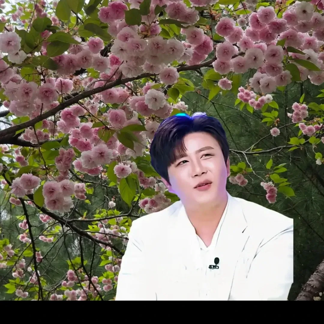 A moment captured by a fan of Jin Haesung