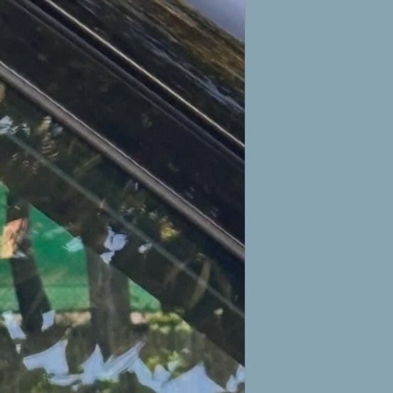 Latest photo of Park Seoham