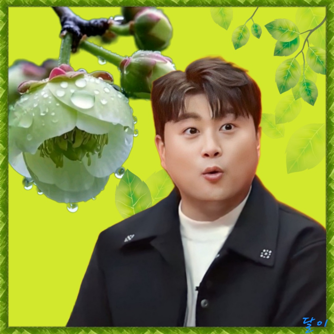 金浩中的最新照片