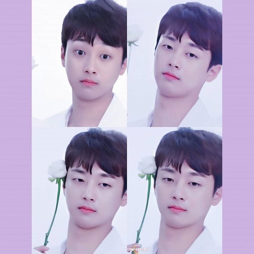 이찬원의 최신 사진