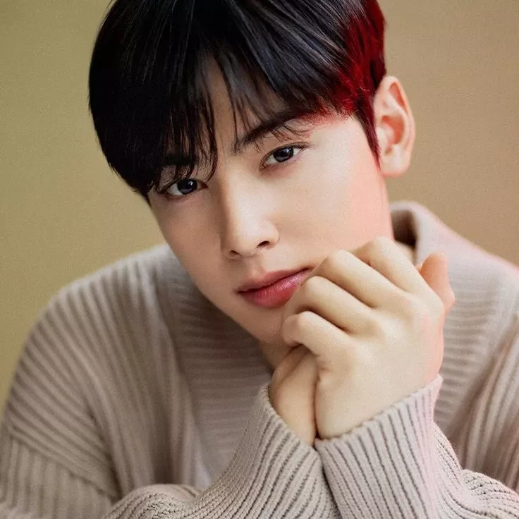 A moment captured by a fan of Cha Eunwoo