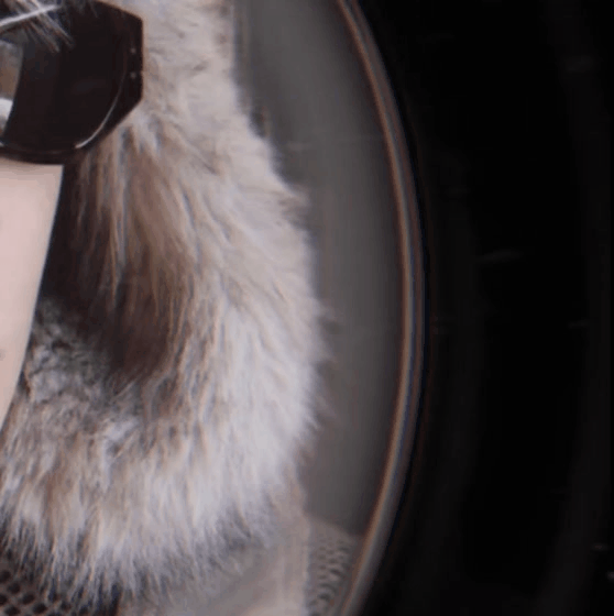 A moment captured by a fan of Dylan Wang