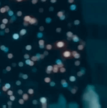 A moment captured by a fan of Shin Haesun