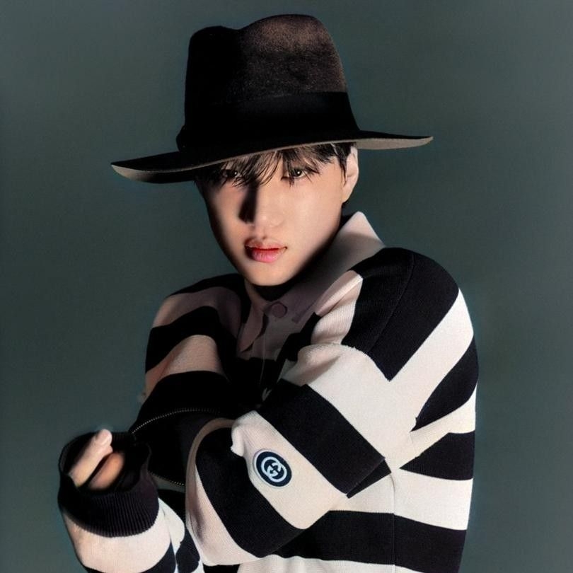 カイの最近の活動ショット